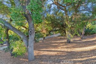 Single Family Residence, 45600 La Cruz dr, Temecula, CA 92590 - 49