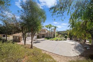 Single Family Residence, 2456 Reche rd, Fallbrook, CA 92028 - 6