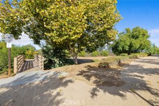 Single Family Residence, 33570 Delphinium ln, Murrieta, CA 92563 - 55