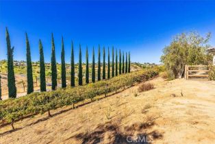 Single Family Residence, 36279 Via El Pais Bonita, Temecula, CA 92592 - 29