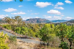 Single Family Residence, 2591 Daisy ln, Fallbrook, CA 92028 - 39