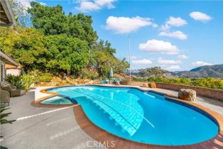 Single Family Residence, 2591 Daisy ln, Fallbrook, CA 92028 - 46