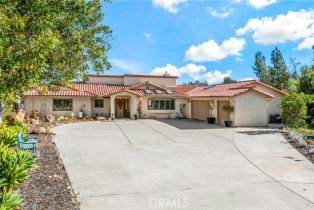 Single Family Residence, 2591 Daisy ln, Fallbrook, CA 92028 - 5