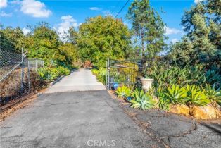 Single Family Residence, 2591 Daisy ln, Fallbrook, CA 92028 - 7