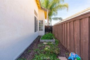 Single Family Residence, 29743 Calle Palmas, Temecula, CA 92591 - 37