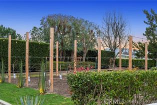 Single Family Residence, 30330 Via Norte, Temecula, CA 92591 - 67