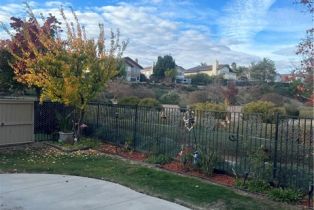 Single Family Residence, 40565 Corte Albara, Murrieta, CA 92562 - 11