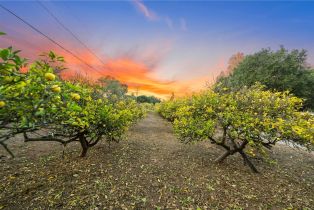 Single Family Residence, 736 Del Valle dr, Fallbrook, CA 92028 - 52