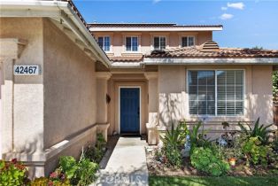 Single Family Residence, 42467 Thoroughbred ln, Murrieta, CA 92562 - 4