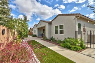 Single Family Residence, 34346 Lamborn st, Temecula, CA 92592 - 43