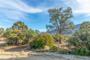 Single Family Residence, 63920 Mountain Center, Mountain Center, CA 92561 - 27