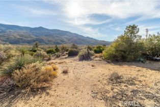 Single Family Residence, 63920 Mountain Center, Mountain Center, CA 92561 - 33