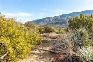 Single Family Residence, 63920 Mountain Center, Mountain Center, CA 92561 - 34