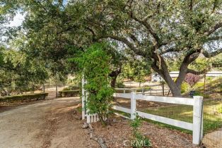 Single Family Residence, 17520 Equestre ct, Murrieta, CA 92562 - 62