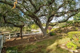 Single Family Residence, 17520 Equestre ct, Murrieta, CA 92562 - 64