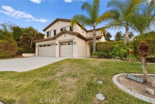 Single Family Residence, 41263 Pine Tree cir, Temecula, CA 92591 - 11