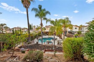 Single Family Residence, 41263 Pine Tree cir, Temecula, CA 92591 - 61