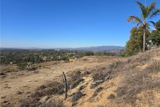 , 1387 Las Vistas rd, Fallbrook, CA 92028 - 3