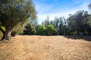 Single Family Residence, 1346 Mcdonald rd, Fallbrook, CA 92028 - 27