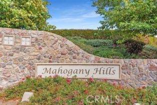 Single Family Residence, 30120 Alfalfa ln, Murrieta, CA 92563 - 41