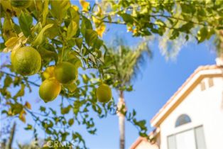 Single Family Residence, 23661 Ballestros rd, Murrieta, CA 92562 - 25