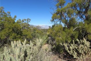 , 155 Lot #155 Buckthorn, Mountain Center, CA 92561 - 12