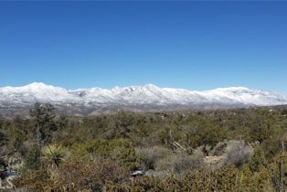 , 155 Lot #155 Buckthorn, Mountain Center, CA 92561 - 19