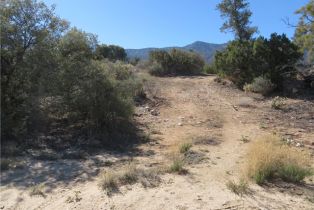, 155 Lot #155 Buckthorn, Mountain Center, CA 92561 - 7