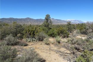 , 155 Lot #155 Buckthorn, Mountain Center, CA 92561 - 8