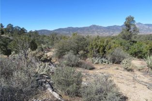 , 155 Lot #155 Buckthorn, Mountain Center, CA 92561 - 9