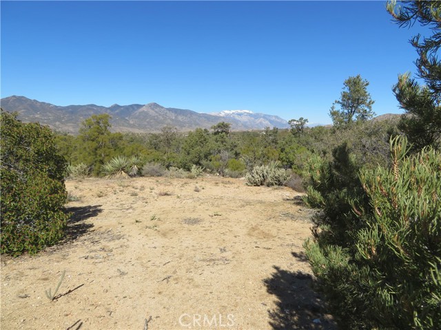 , 155 Lot #155 Buckthorn, Mountain Center, CA 92561 - 1