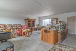 Single Family Residence, 62000 Indian Hill rd, Mountain Center, CA 92561 - 41