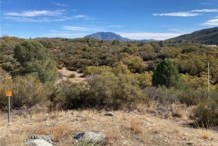 Single Family Residence, 62000 Indian Hill rd, Mountain Center, CA 92561 - 47