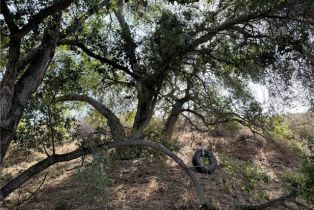 , 0 Scanlon rd, Temecula, CA 92592 - 14