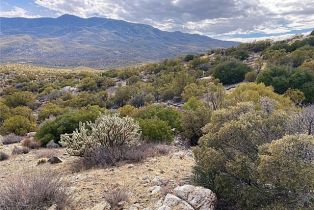 Single Family Residence, 68080 Glacier Pass, Mountain Center, CA 92561 - 24