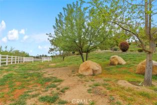 Single Family Residence, 40190 Via Caballos, Murrieta, CA 92562 - 57