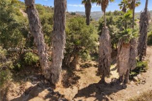 Single Family Residence, 879 Stewart Canyon rd, Fallbrook, CA 92028 - 44