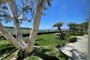 Single Family Residence, 18 Canyon Rim, Newport Coast, CA 92657 - 50