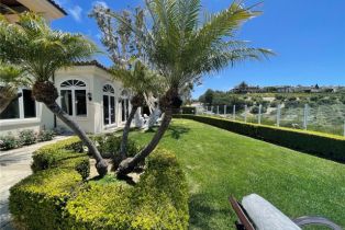 Single Family Residence, 18 Canyon Rim, Newport Coast, CA 92657 - 52