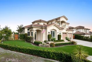 Single Family Residence, 4238 Dartmouth dr, Yorba Linda, CA 92886 - 3