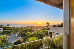 Single Family Residence, 905 Canyon View dr, Laguna Beach, CA 92651 - 45