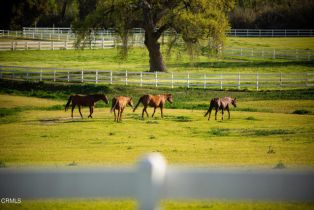 Single Family Residence, 7887 Ojai Santa Paula rd, Ojai, CA 93023 - 50