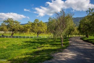 Single Family Residence, 7887 Ojai Santa Paula rd, Ojai, CA 93023 - 57