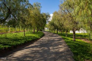 Single Family Residence, 7887 Ojai Santa Paula rd, Ojai, CA 93023 - 58