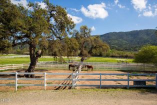 Single Family Residence, 7887 Ojai Santa Paula rd, Ojai, CA 93023 - 61