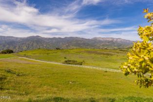 Single Family Residence, 7887 Ojai Santa Paula rd, Ojai, CA 93023 - 65