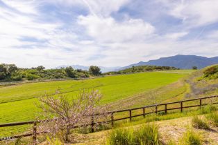 Single Family Residence, 7887 Ojai Santa Paula rd, Ojai, CA 93023 - 67