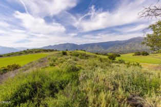 Single Family Residence, 7887 Ojai Santa Paula rd, Ojai, CA 93023 - 68