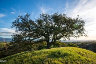 Single Family Residence, 3570 Woodstock rd, Santa Ynez, CA 93460 - 3