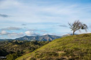 Single Family Residence, 3570 Woodstock rd, Santa Ynez, CA 93460 - 38